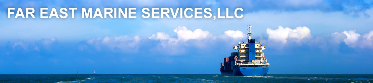 Far East Marine Services, LLC